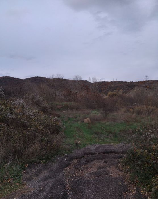 Продава се Парцел в Бобошево - 2300 кв.м за 6 €/кв.м - Снимка #3