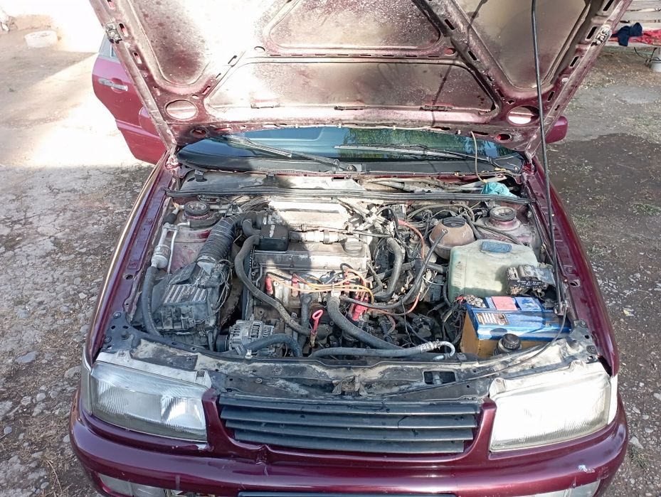 Фольсфаген Дельфин Пассат