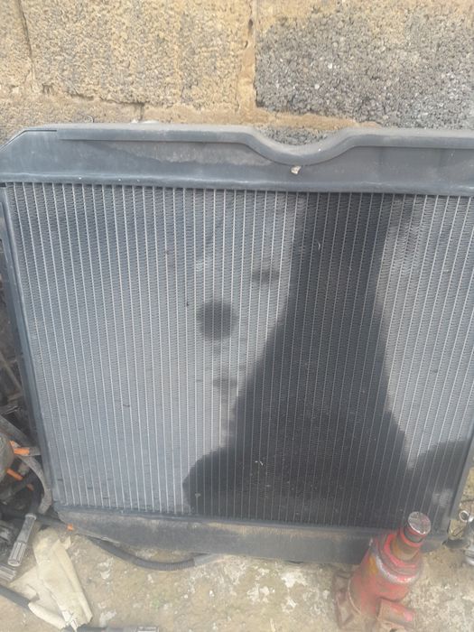 Radiator gaz 53 ga