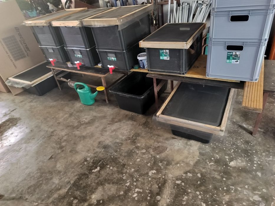 Vind afacere ferma de răme vermicultura,vermicompost