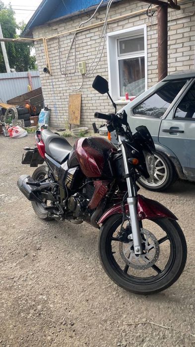 Racer nitro 250 pro