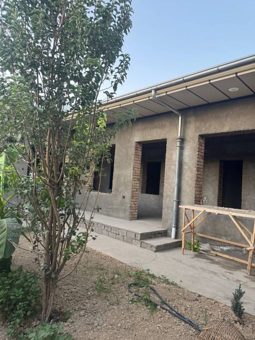 Лимонарий Карамурт 4 сотки