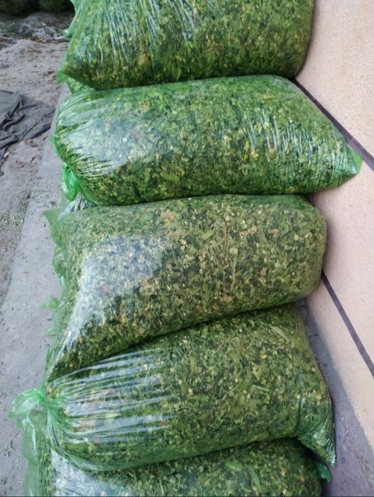 Selos optom tel qling 20.000