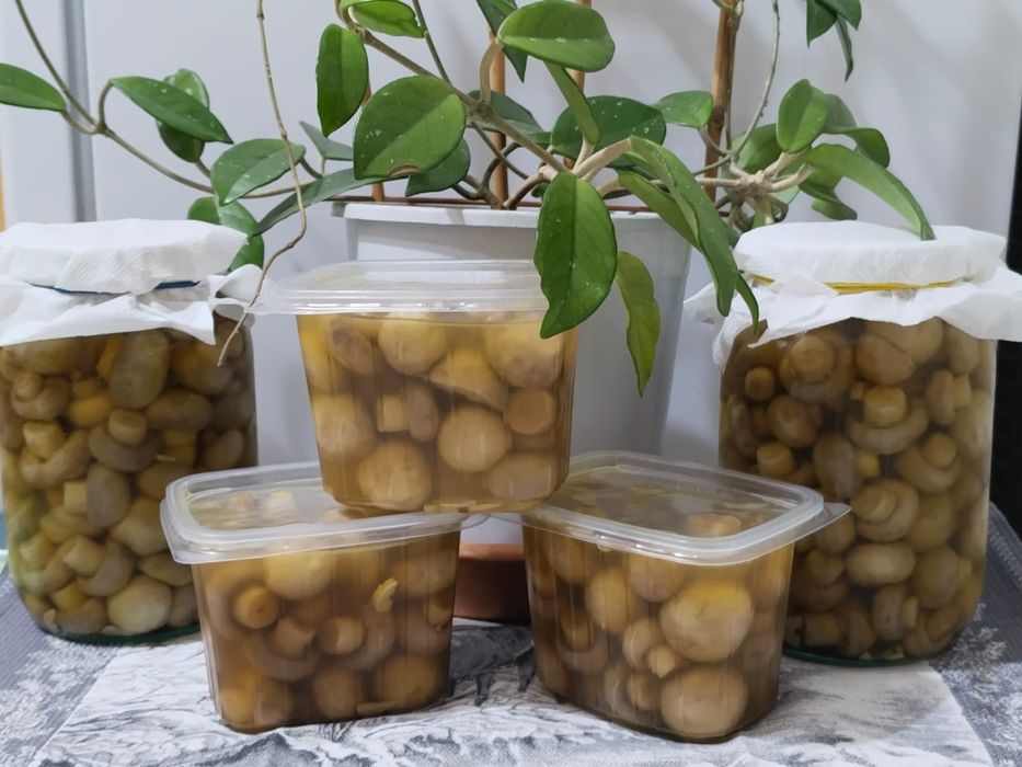 Продам маринованные шампиньоны