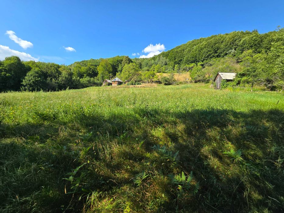 Vând teren 10,5 ha cu casă și sură, 3 izvoare, Bistrița