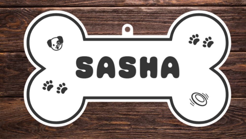 Coliere animale de companie  personalizate