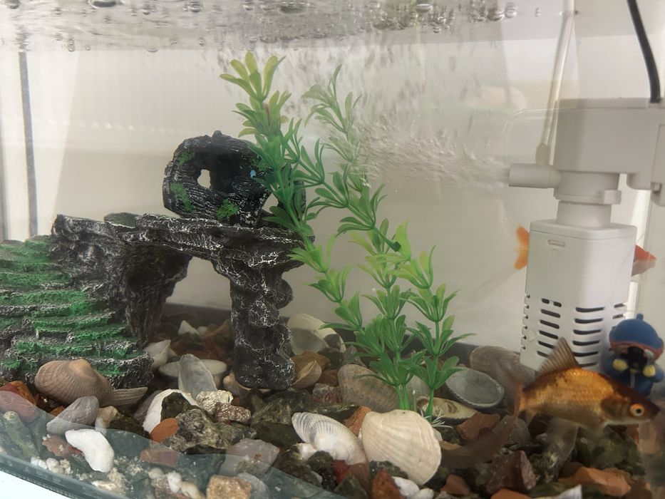 Аквариум все в комплекте