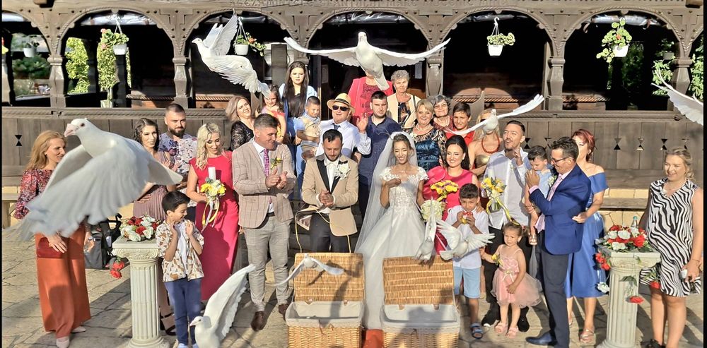 Porumbei albi pentru nunta Constanta