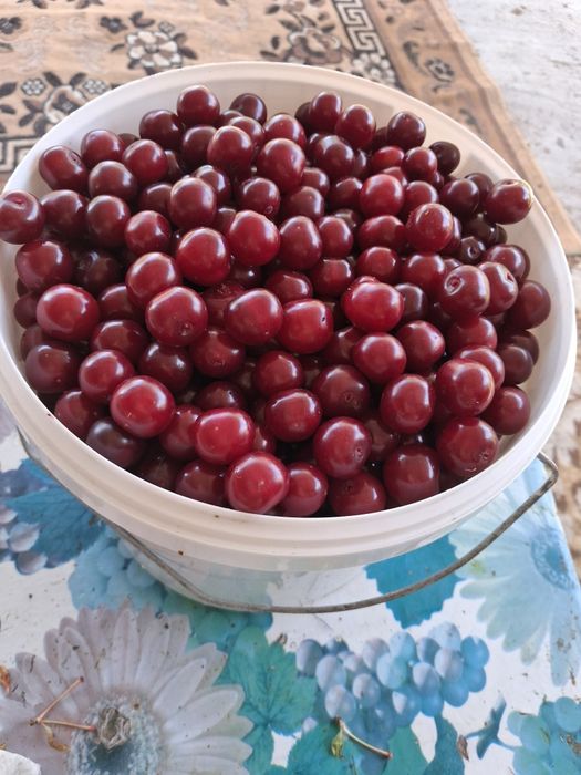 Дача на первой водоколонке. Вьезд во вторые ворота