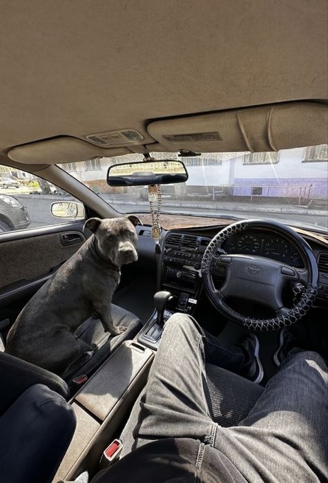 Продам Живой Toyota Mark 2 90