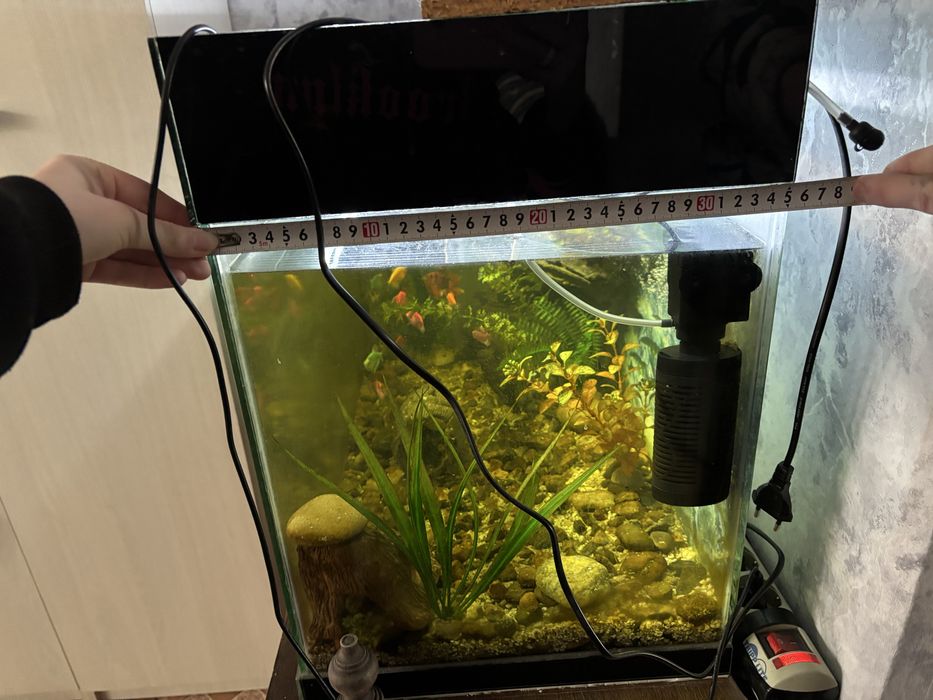 Продаеться оквариум с рыбками