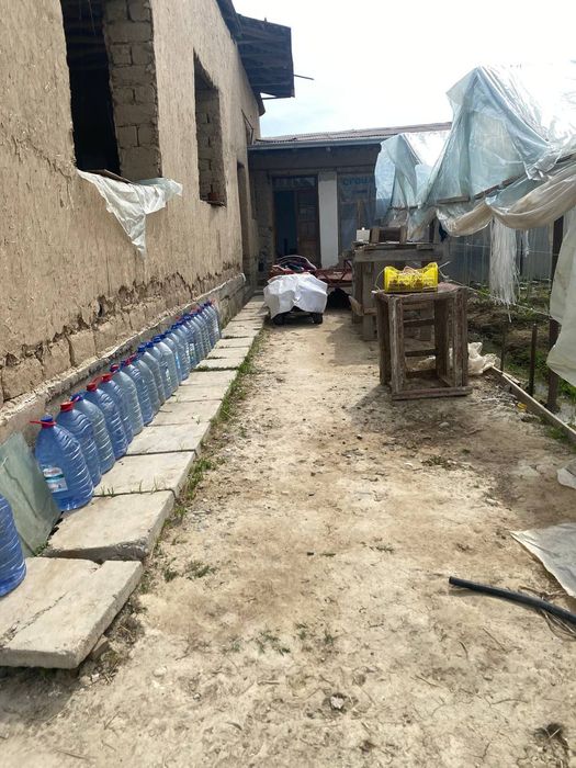 Nazarbek Turkiston da 8 sotix dala xovli sotiladi