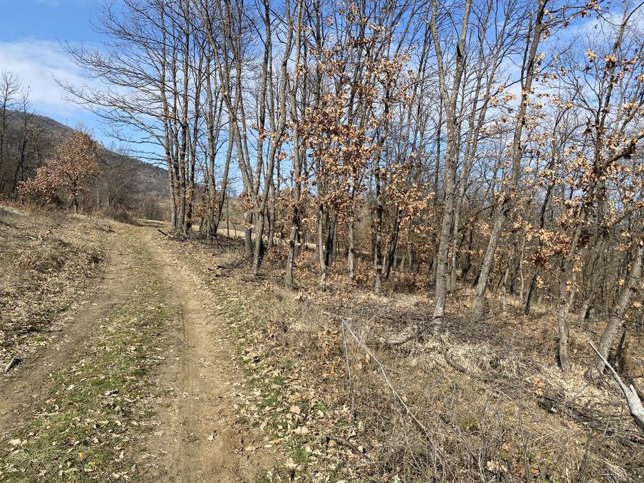 Продава се Земеделски имот в с. Струпец, Област Враца -  кв.м за 829 €/дка - Снимка #5