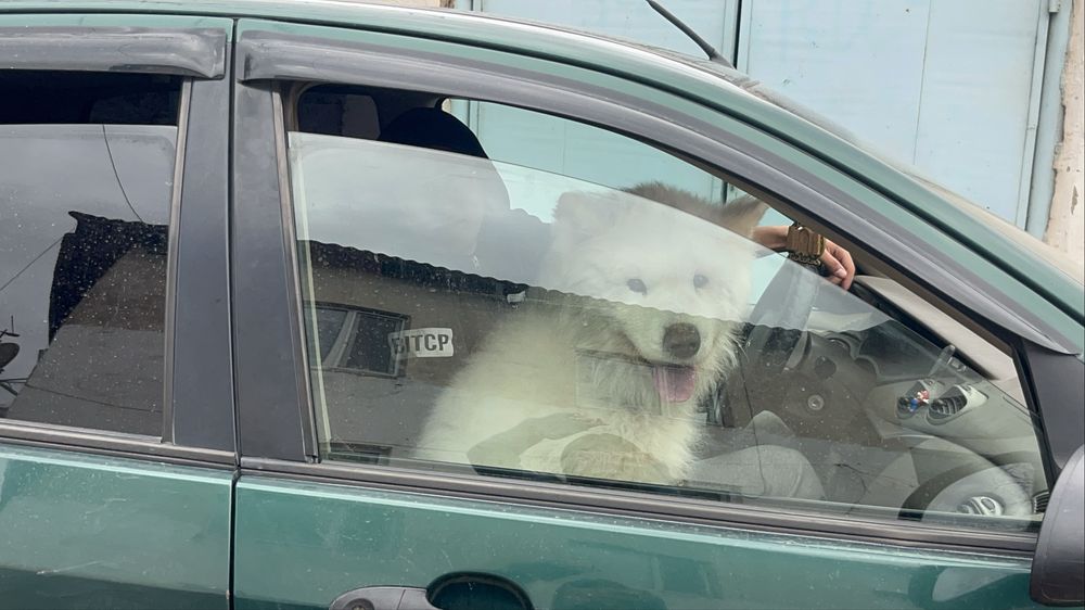 Обмен или продам