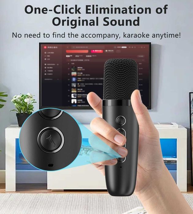 ALPOWL MAIKELU Професионално караоке, караоке 2 микрофона