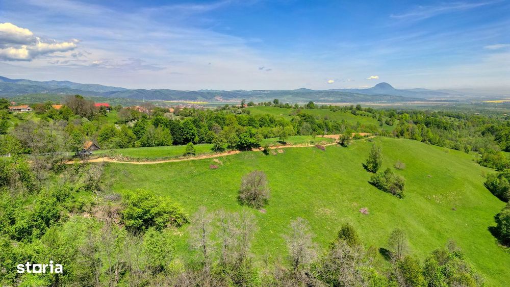 Teren extravilan 20.000 mp, zona Bran, vedere spre Munții Bucegi