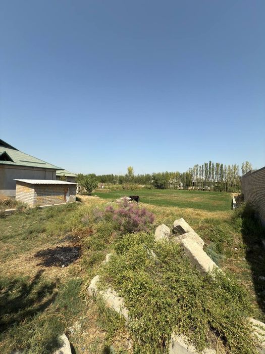 Mirzaobod arzon narxda yer