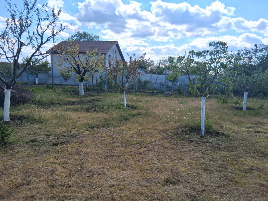 Teren de vânzare comuna 1 Decembrie