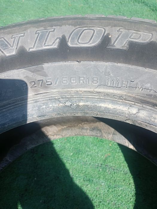 Шина одиночка Dunlop