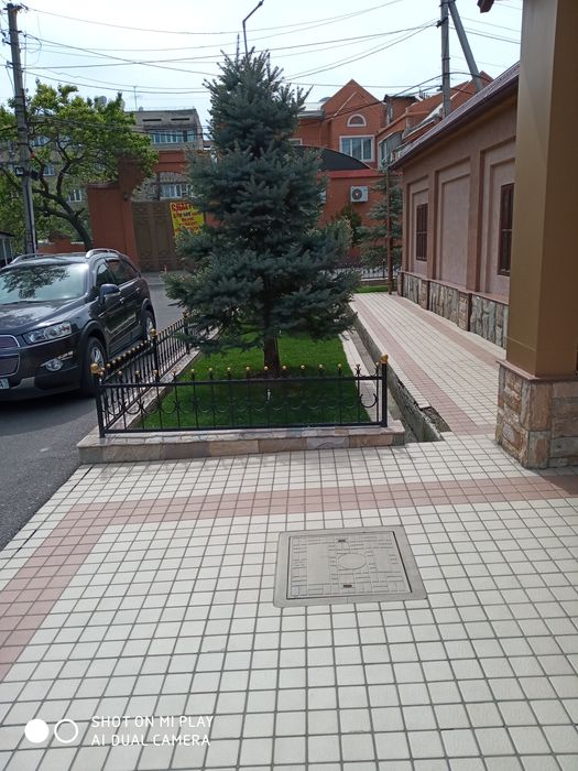 Archalarni dorilash oziqa berish