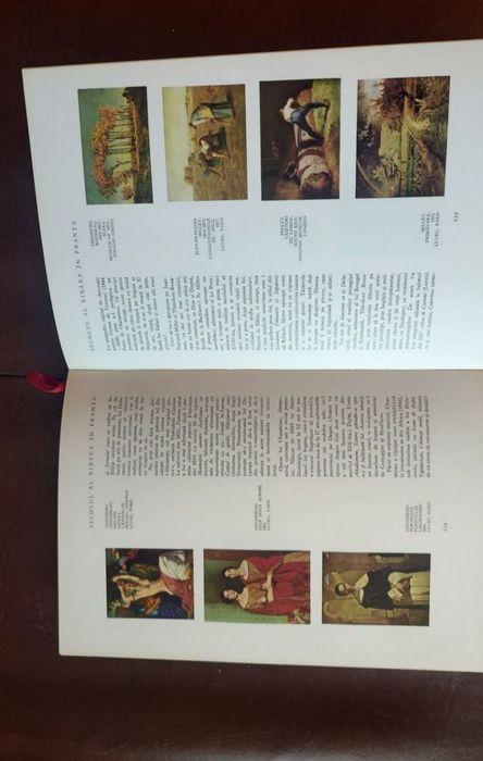 Istoria ilustrata a picturii universale