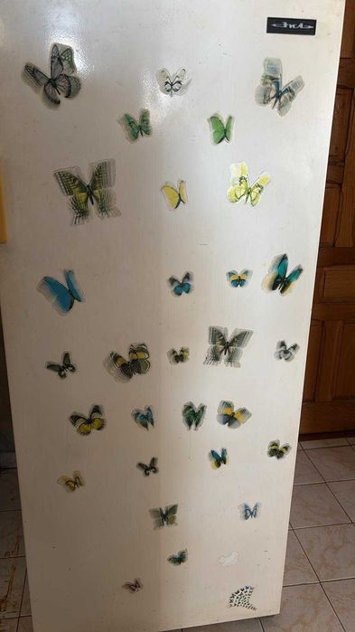 Frigider ZIL functional