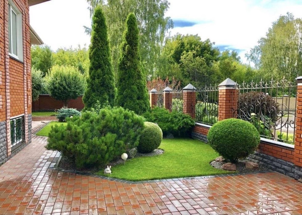 Ландшафт озеленение ель