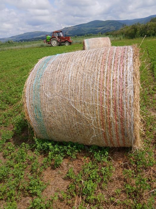Baloți de lucernă