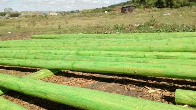 Деревянные опоры для ЛЭП и пиломатериалы