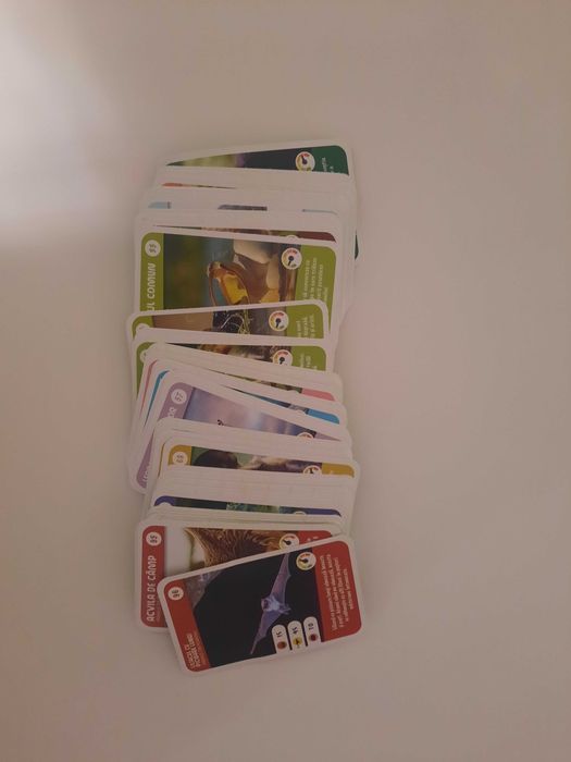 Expeditie in jurul lumii 1.