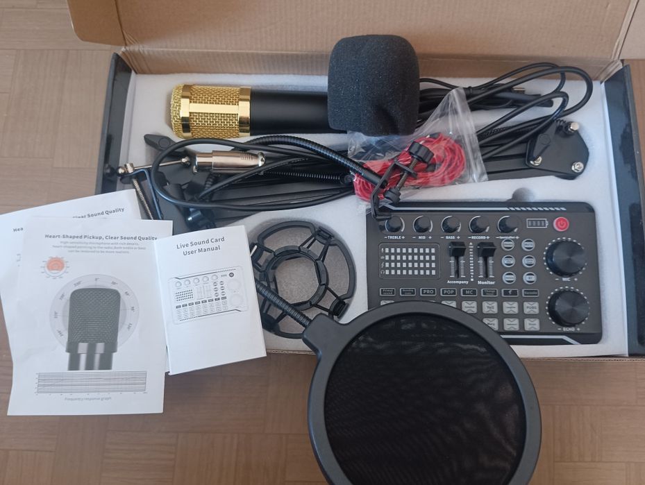 Микрофон професиональный любительский