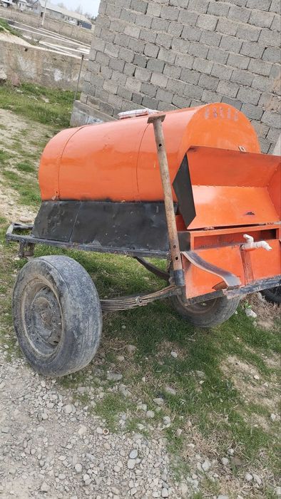 mo'rs bachok arzon narxda yoz kelmoqda