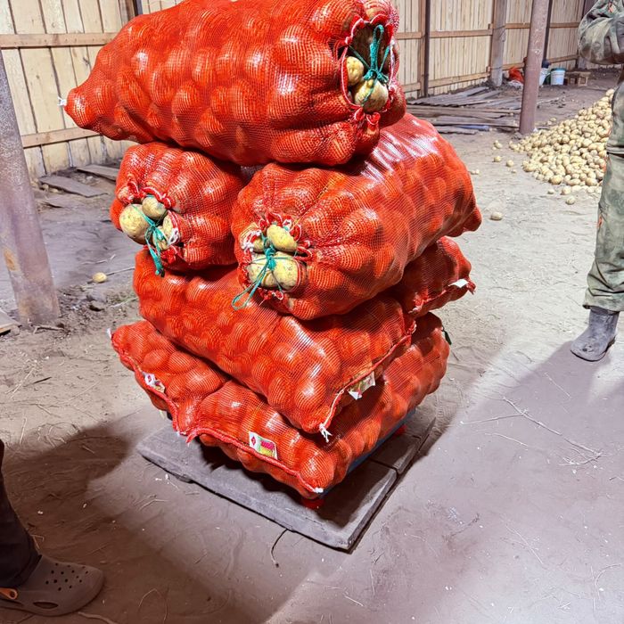 Крупный картофель доставка
