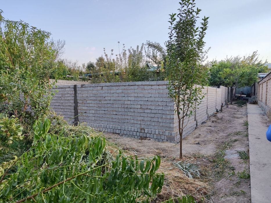 Koʻksaroyda 4- soʻtik yer sotiladi