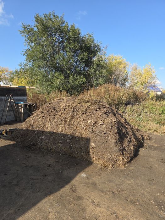 Отдаю бесплатно навоз