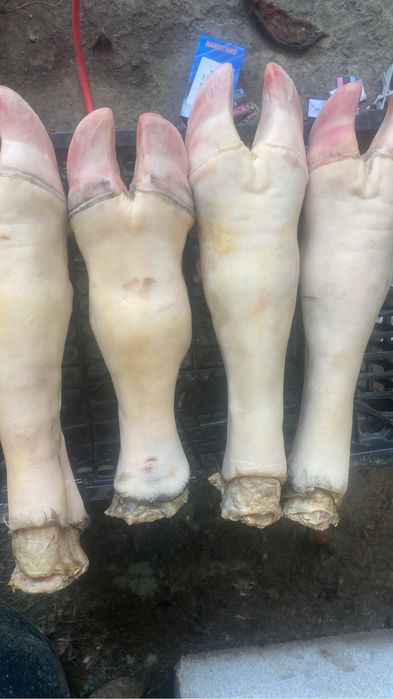 (Айтей-Каскелен) Бойня 54321