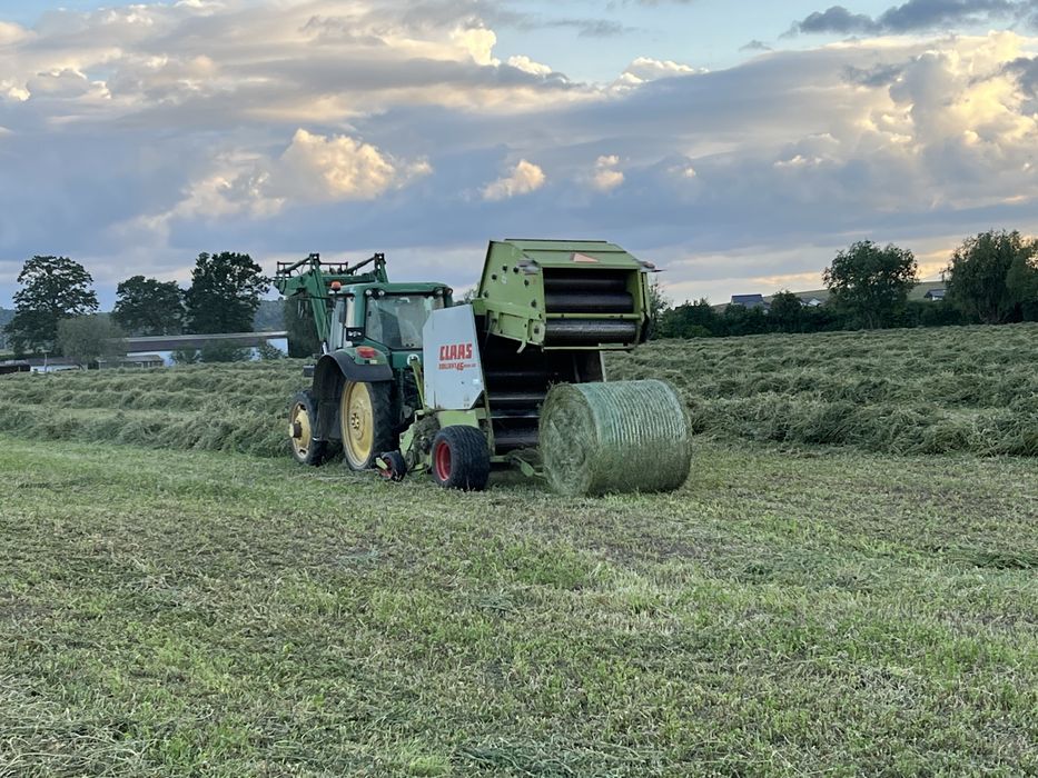 Baloti lucerna rotunzi