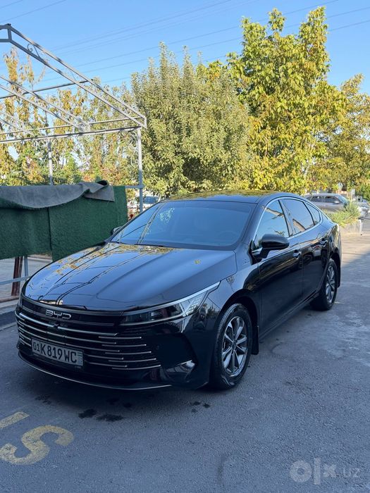 Byd Chazor hybrid  55luxe