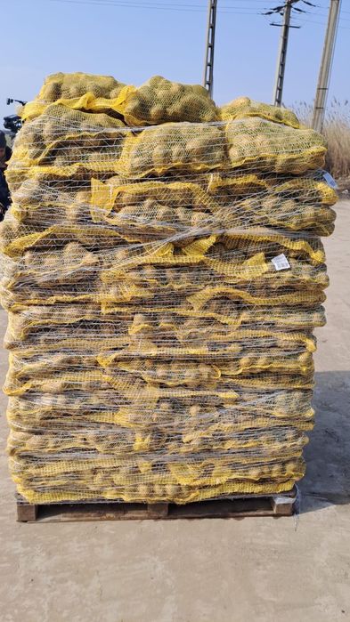Cartof consum ambalat la plase de 10,15 sau 25 kg