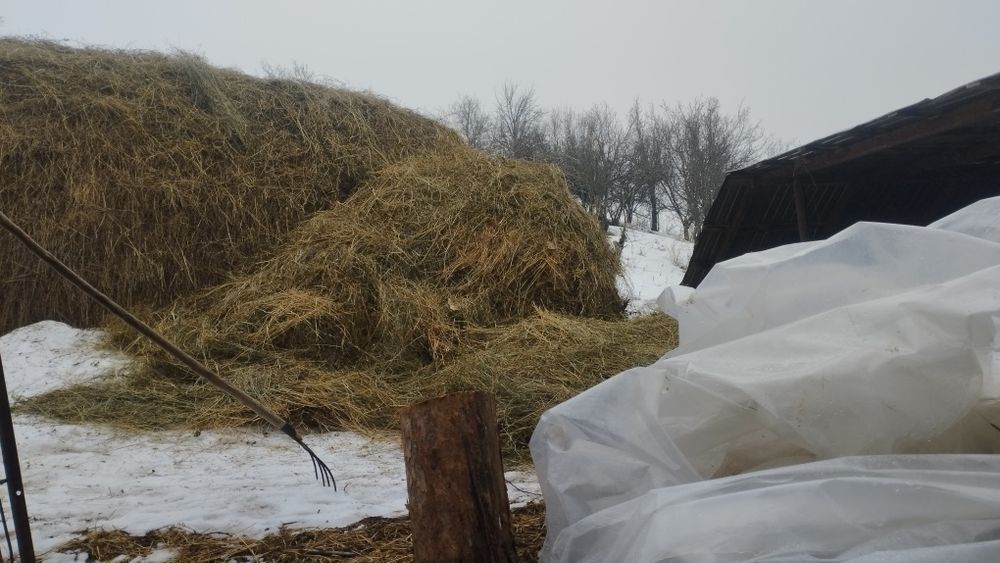 Сено ,скирда, в Алмате