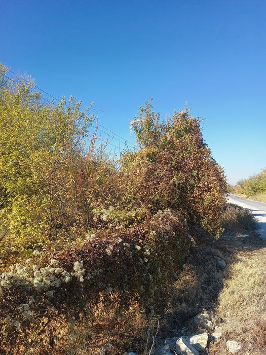 Продава се Парцел в Асеновград - 507 кв.м за 97 €/кв.м - Снимка #4