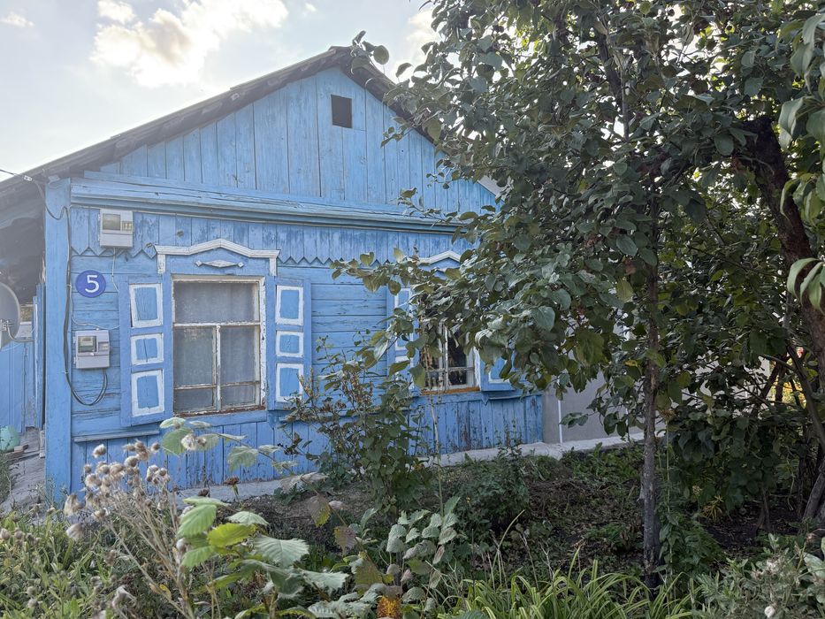 Продам дом в с Затон