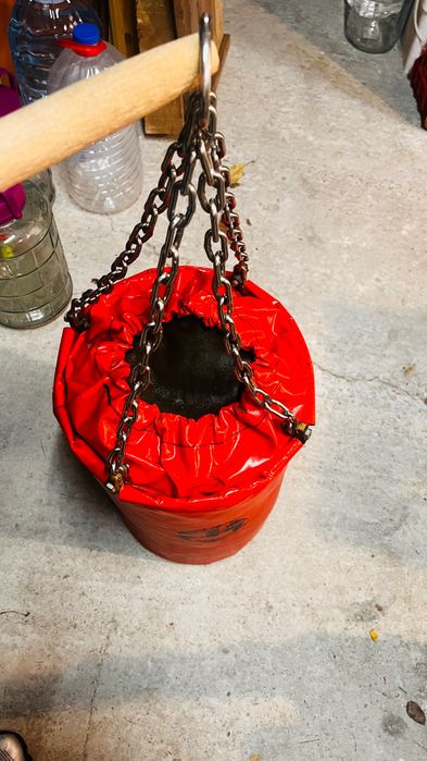 Боксова круша нова  LISHEIKOV