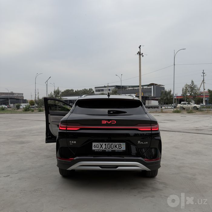Byd champion restyling