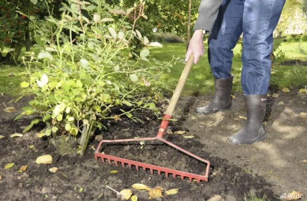 Бригада рабочих, уборка территории