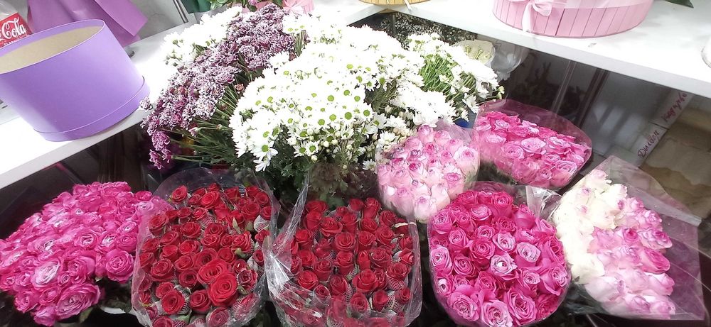 Atrgul koʻchatlari bor 75 xil