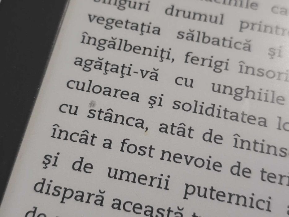 Amazon Kindle DX Graphite (Model D00801) - 9.7" E-ink Pearl - 4GB - PDF Native