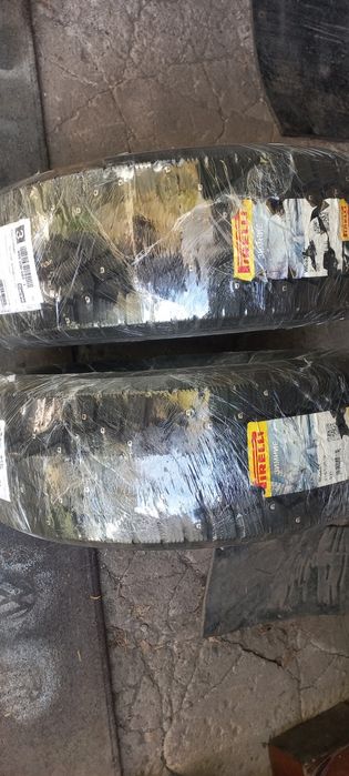 Продам два болона Pireli