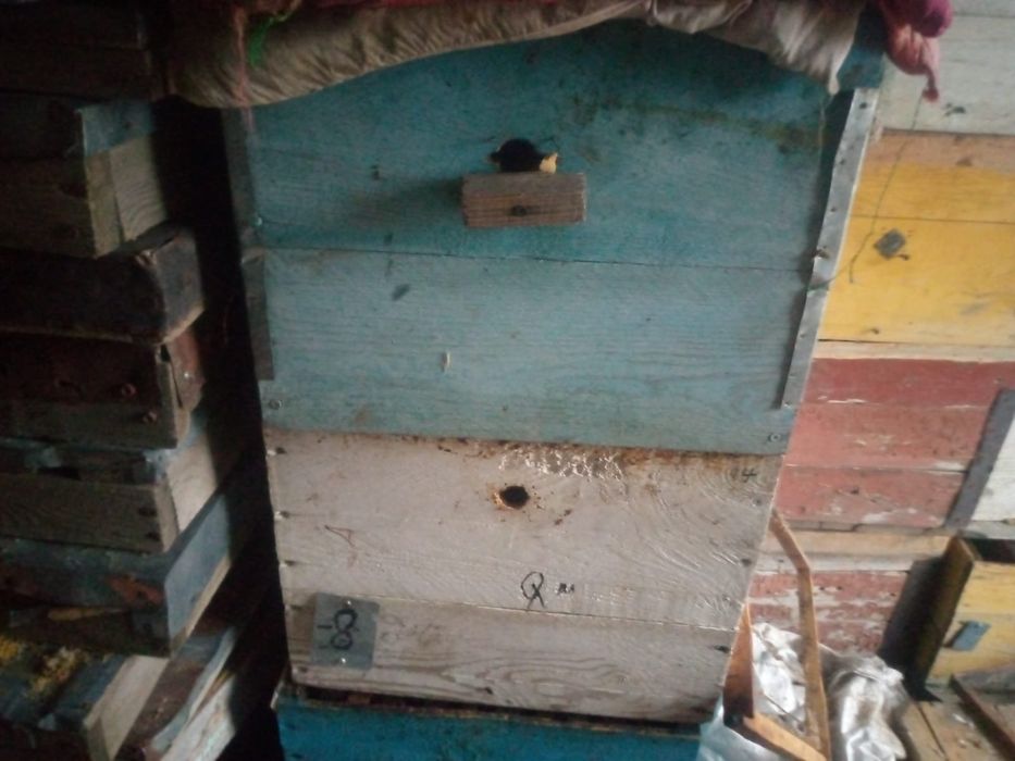 Пчелиный улей 10рамка и 13 рамка
