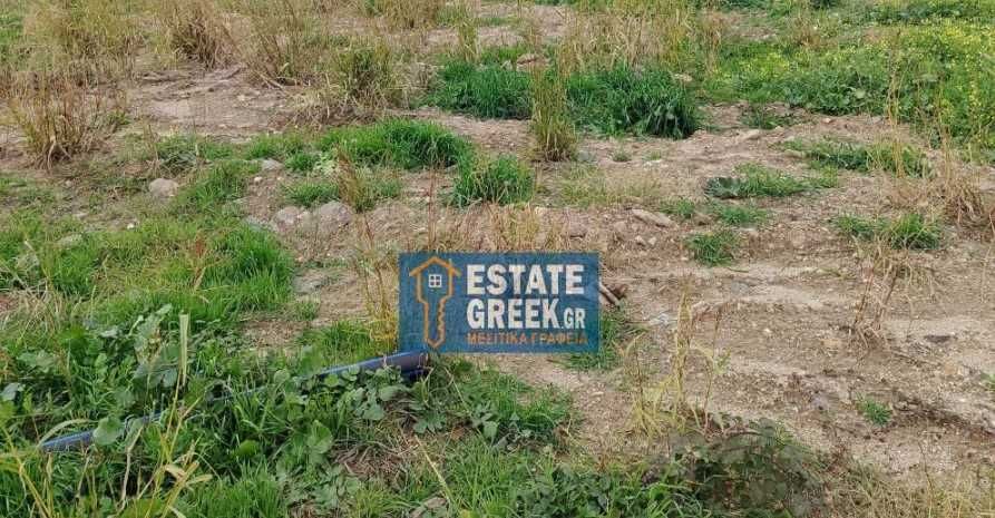 Продава се Парцел в Пловдив, Филипово - 795 кв.м за 416 €/кв.м - Снимка #1